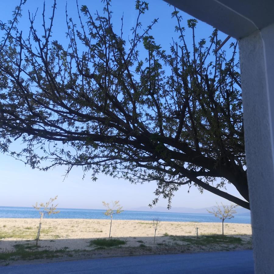 Greece Asprovalta Rooms Accomodation Apartment Hotel Petalo Екстериор снимка