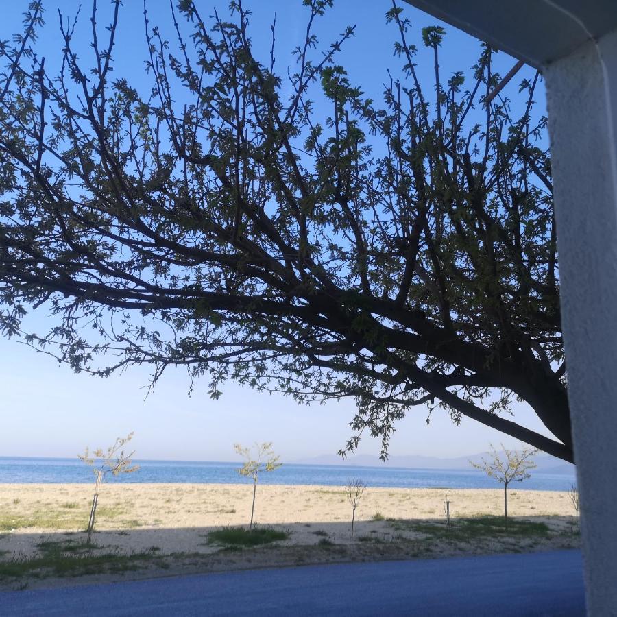 Greece Asprovalta Rooms Accomodation Apartment Hotel Petalo Екстериор снимка